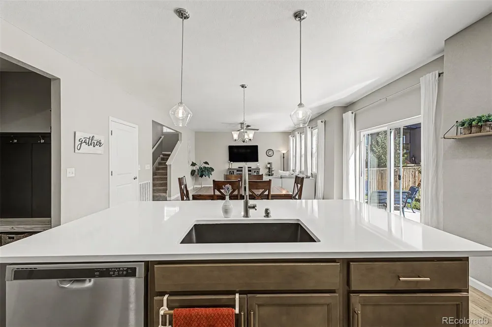 13994 Shasta Daisy Street Parker, CO 80134