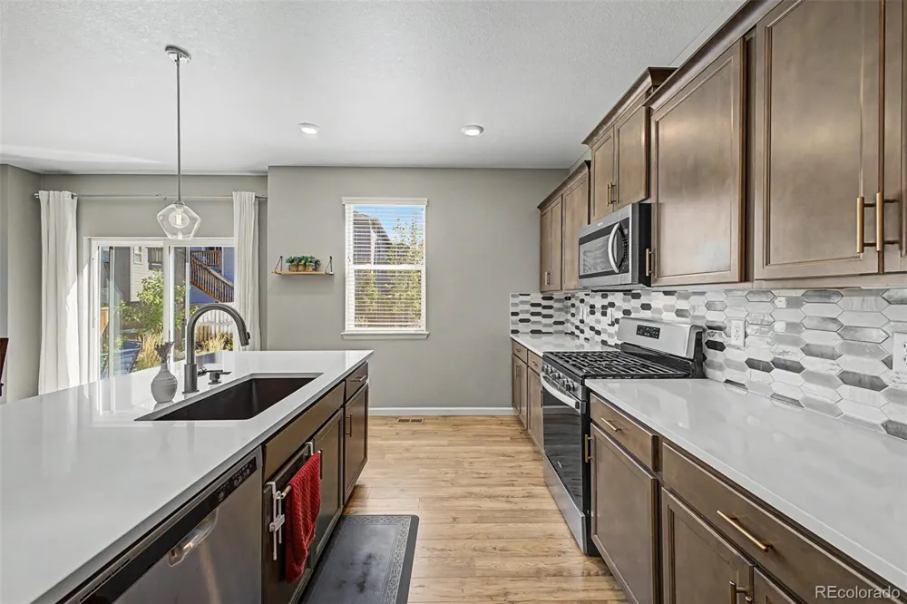 13994 Shasta Daisy Street Parker, CO 80134