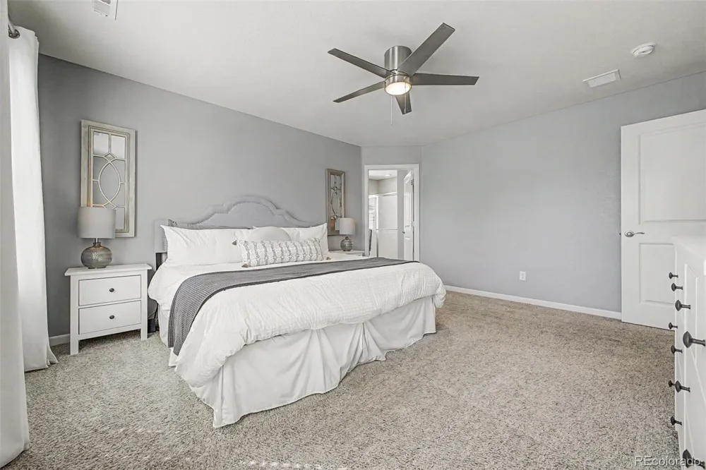 13994 Shasta Daisy Street Parker, CO 80134