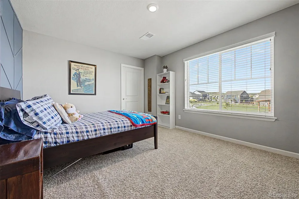 13994 Shasta Daisy Street Parker, CO 80134