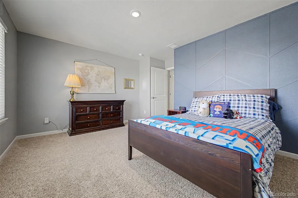 13994 Shasta Daisy Street Parker, CO 80134