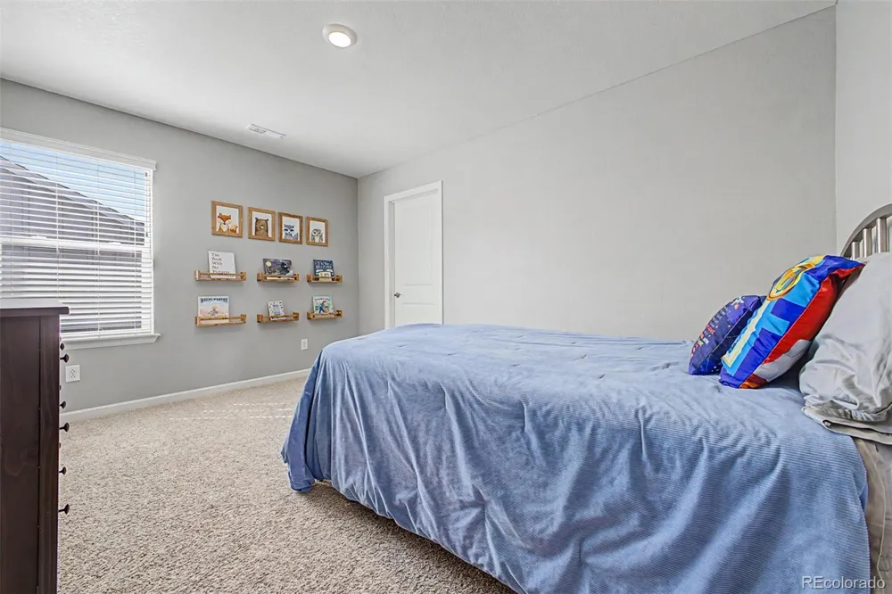 13994 Shasta Daisy Street Parker, CO 80134