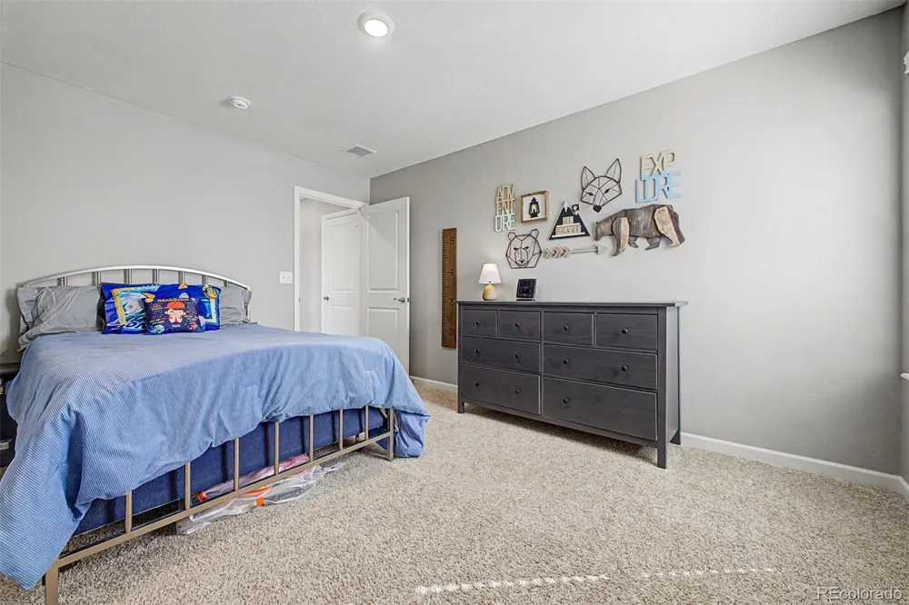 13994 Shasta Daisy Street Parker, CO 80134
