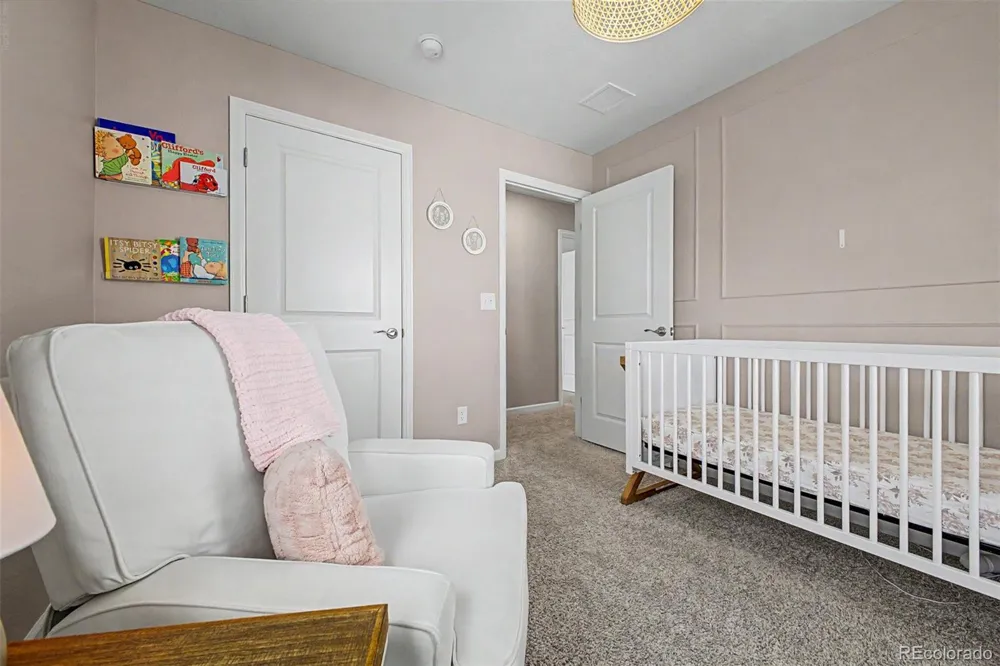 13994 Shasta Daisy Street Parker, CO 80134