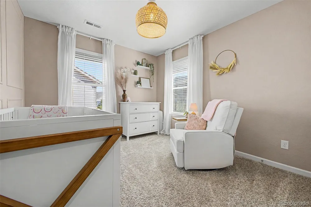 13994 Shasta Daisy Street Parker, CO 80134