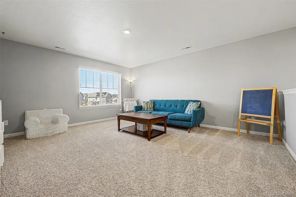 13994 Shasta Daisy Street Parker, CO 80134