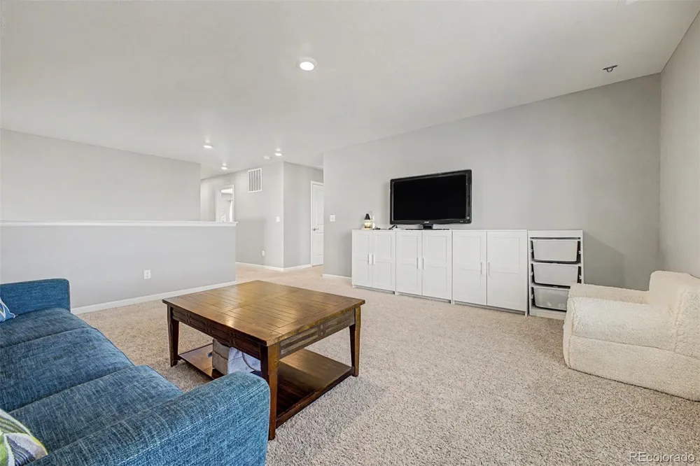13994 Shasta Daisy Street Parker, CO 80134