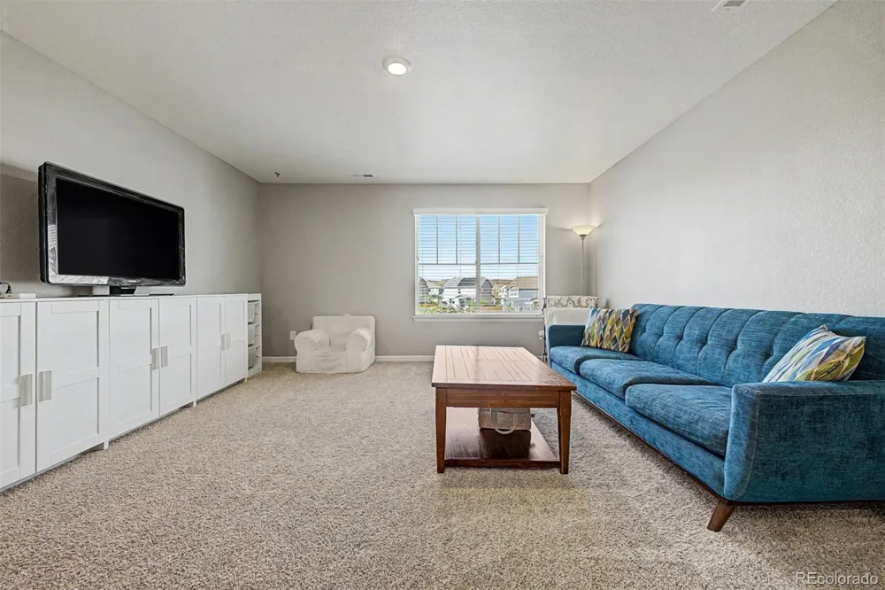 13994 Shasta Daisy Street Parker, CO 80134