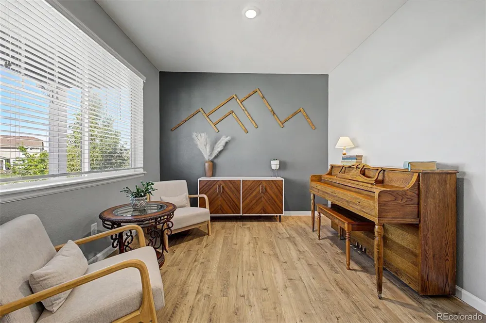 13994 Shasta Daisy Street Parker, CO 80134