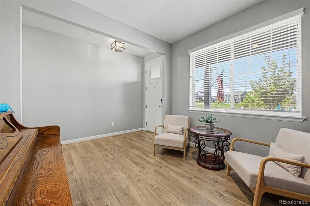 13994 Shasta Daisy Street Parker, CO 80134