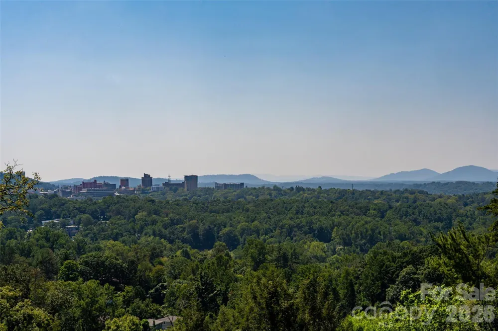 35 Elias Place Asheville, NC 28804