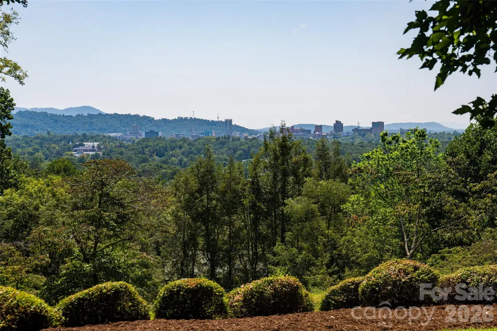 35 Elias Place Asheville, NC 28804