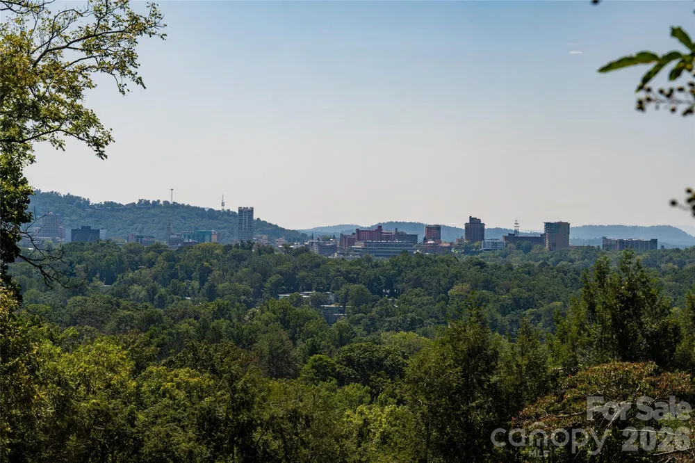 35 Elias Place Asheville, NC 28804