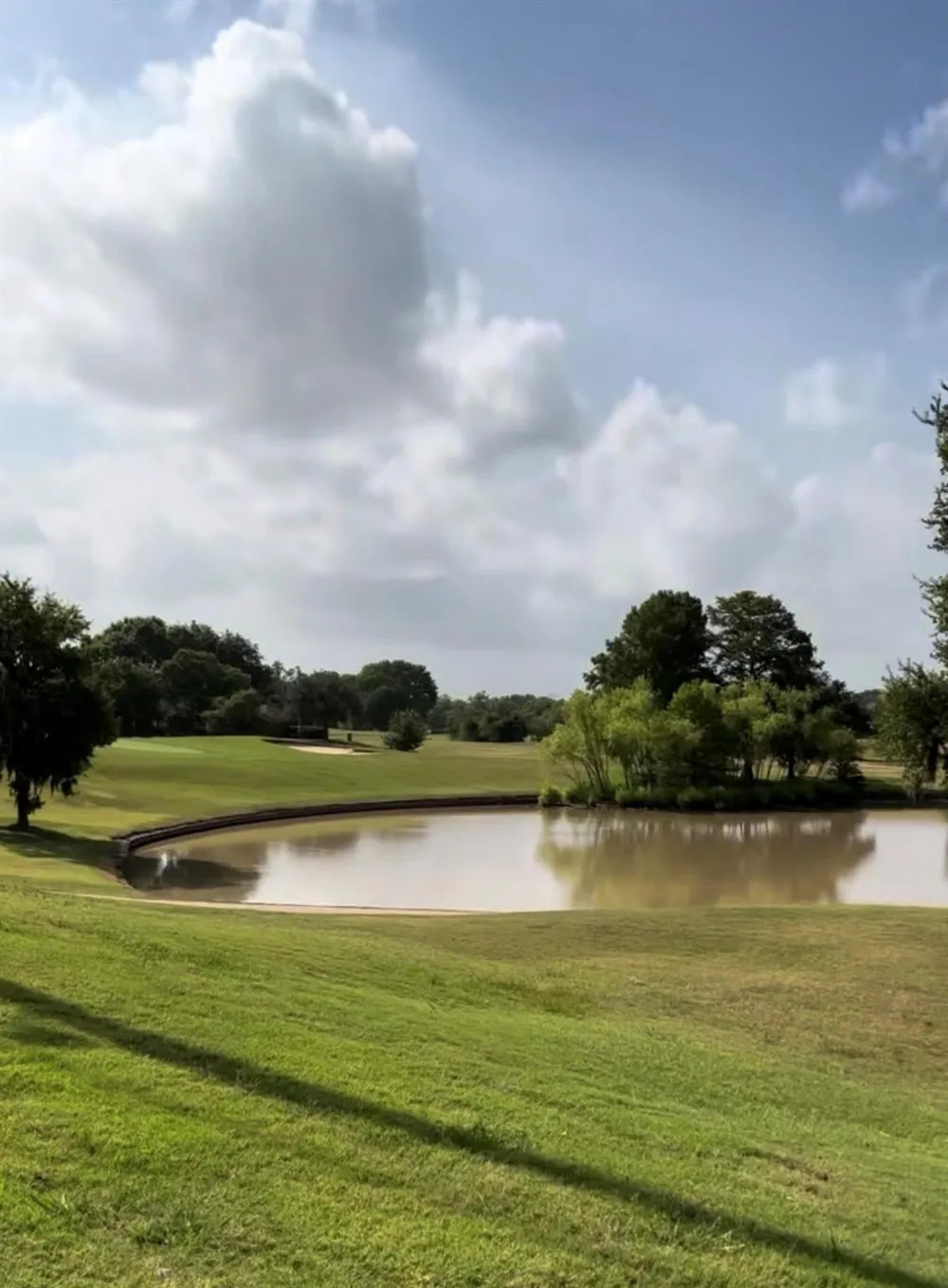 2219 Ridge Wood Lane Sugar Land, TX 77479