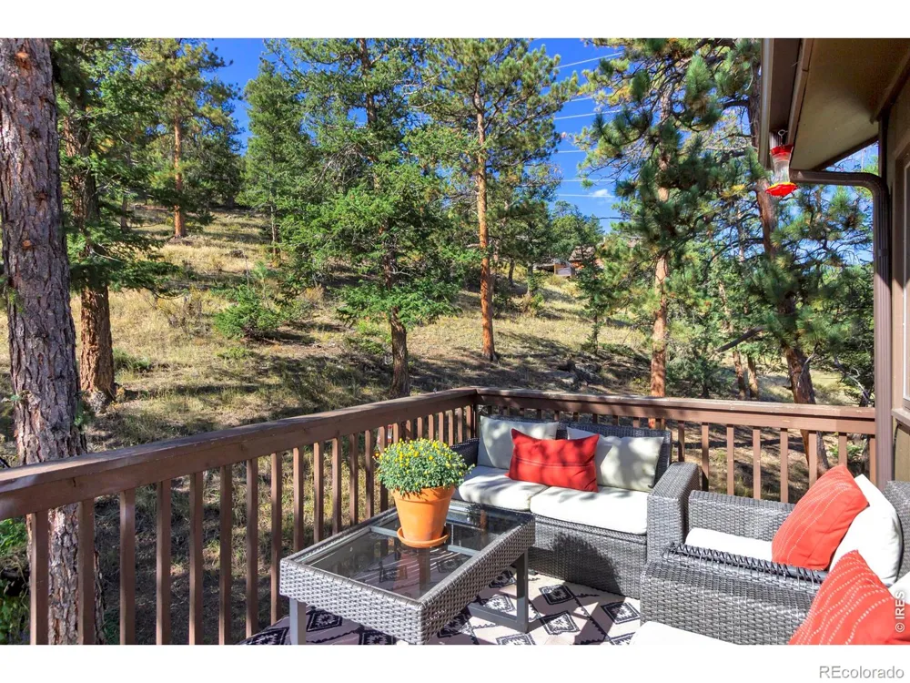 517 Driftwood Avenue #3 Estes Park, CO 80517
