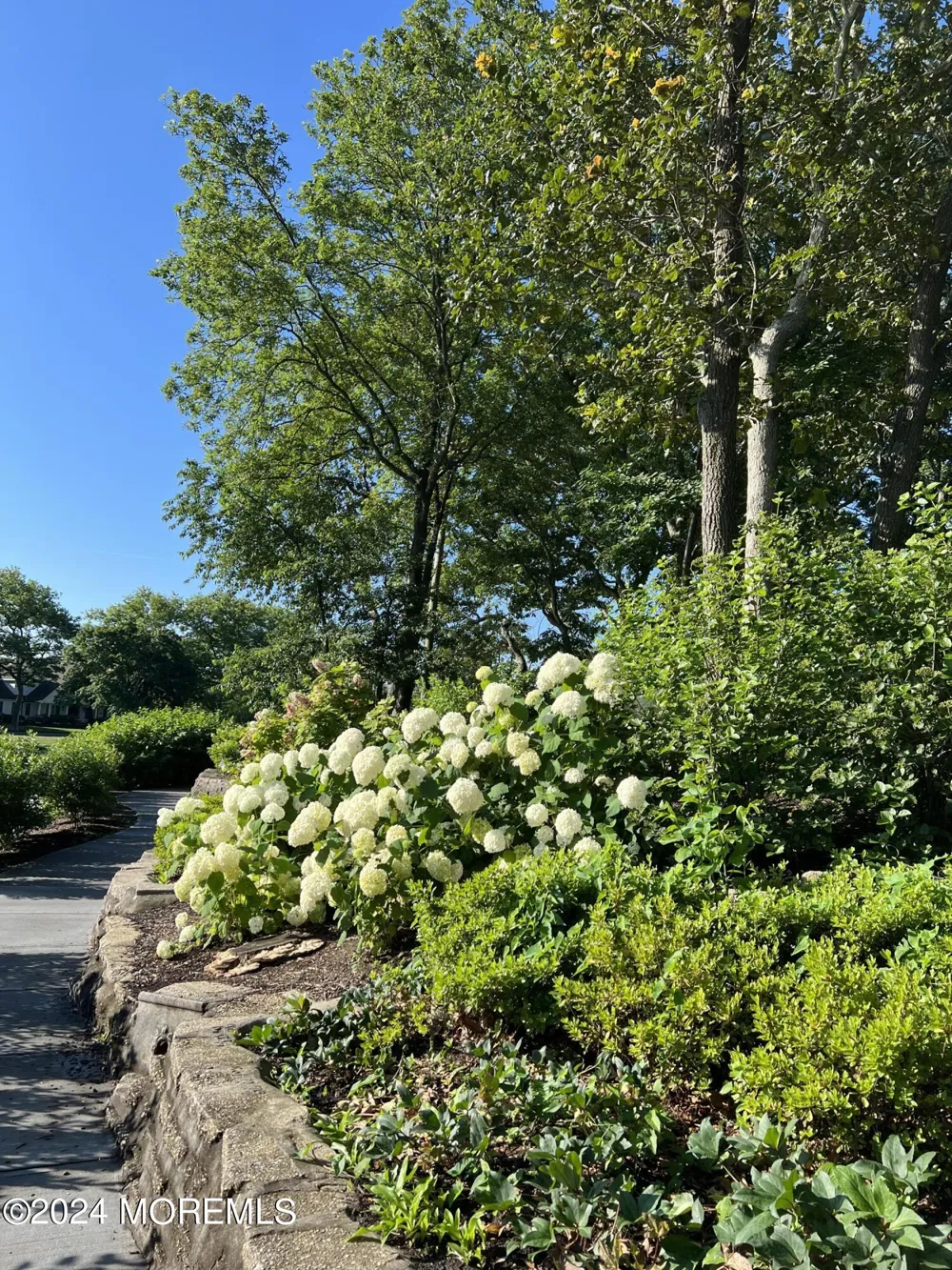 2122 Edgewood Place Spring Lake, NJ 07762
