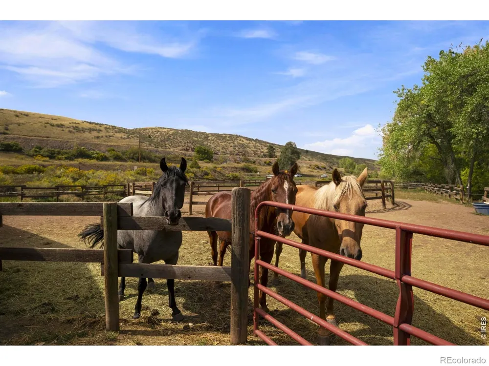 9680 W County Road 38 E Loveland, CO 80538