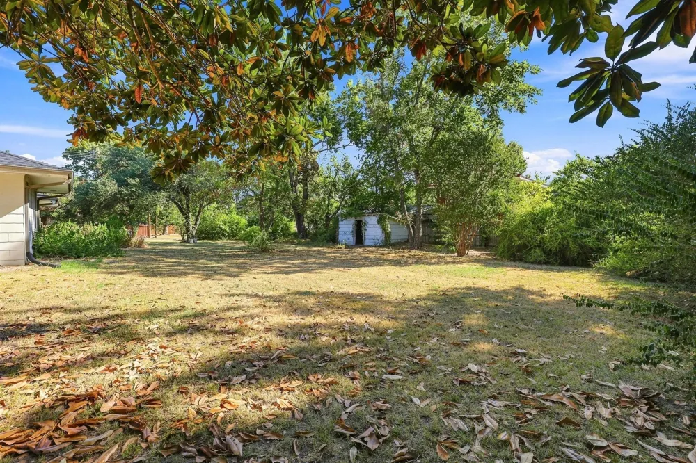 920 Park Avenue Bonham, TX 75418