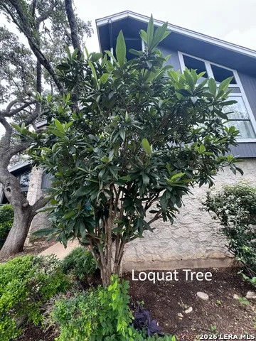 1739 Royal Crescent San Antonio, TX 78231