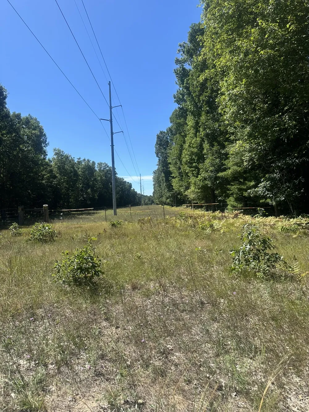 108th Avenue Rothbury, MI 49452