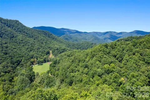 OFF Little East Fork Road #L-1
