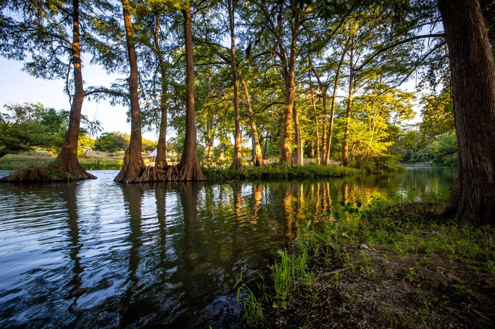 2221 GRUENE RD ROAD New Braunfels, TX 78130