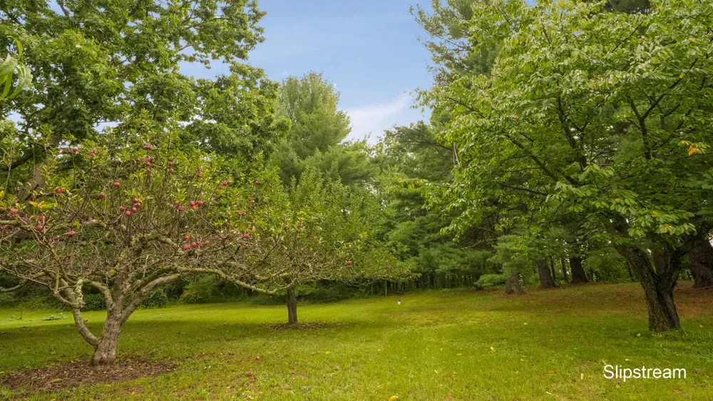 5059 12 Mile Road NE Rockford, MI 49341