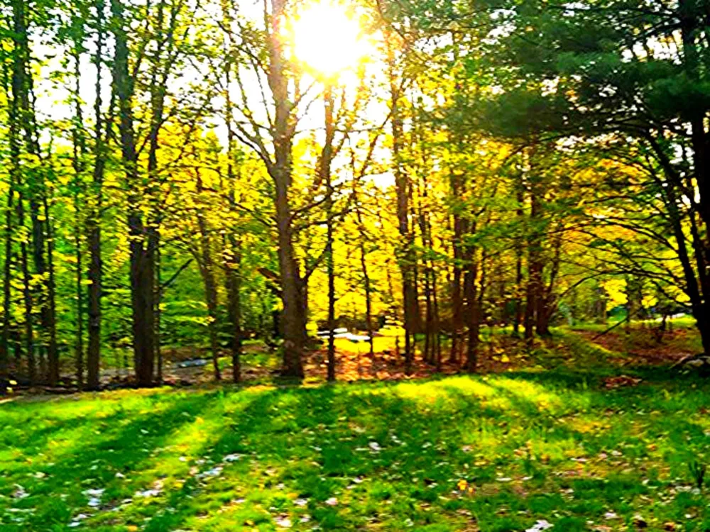6779 S Woods Trail Custer, MI 49405