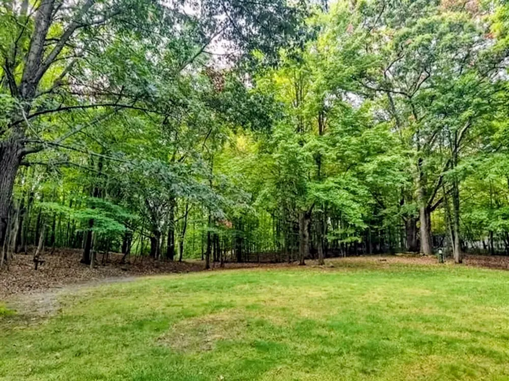 6779 S Woods Trail Custer, MI 49405