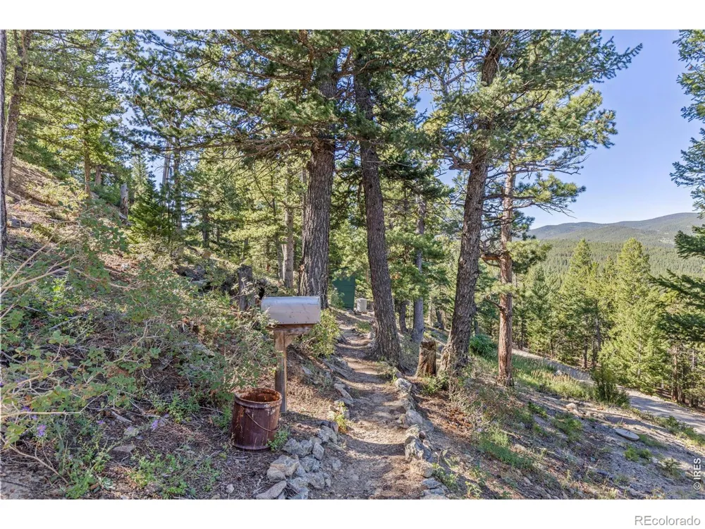 105 Observatory Place Black Hawk, CO 80422