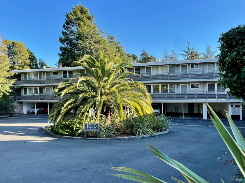 19 Knoll Lane Mill Valley, CA 94941
