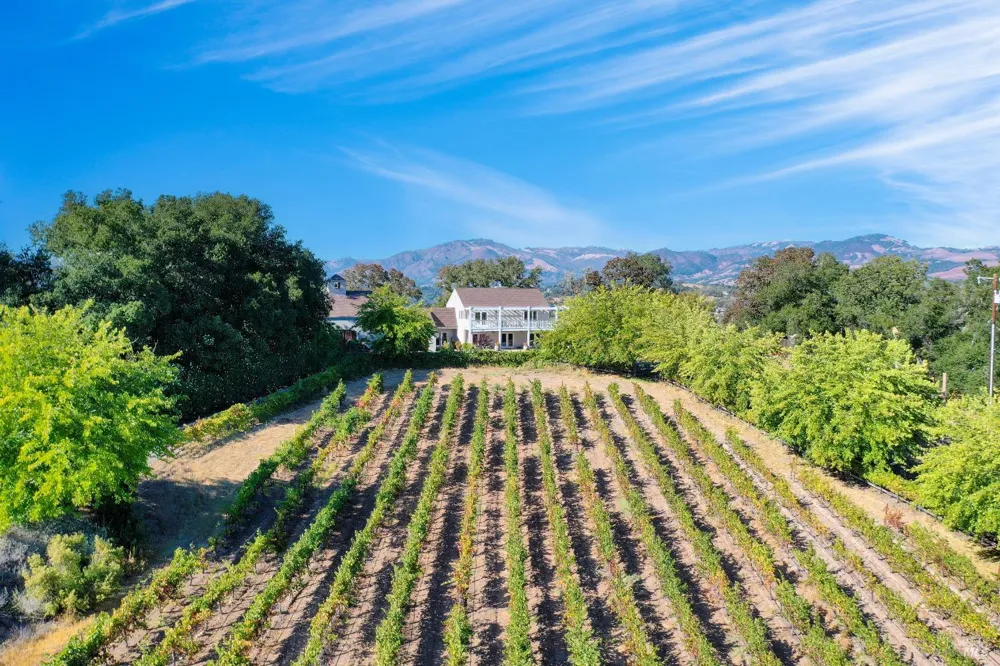 8325 Sonoma Mountain Road Glen Ellen, CA 95442