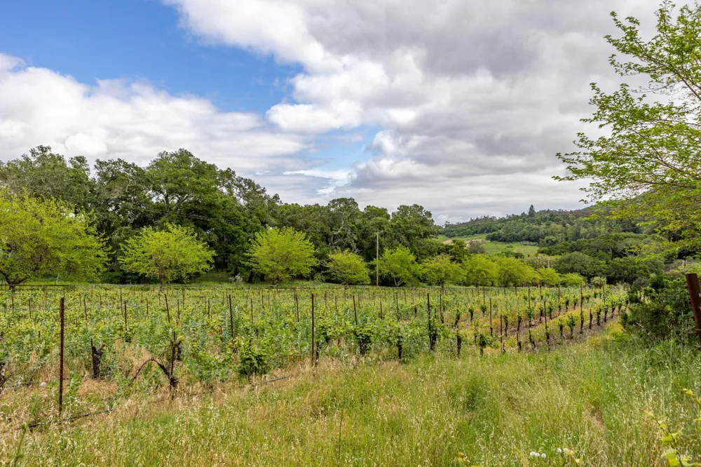 8325 Sonoma Mountain Road Glen Ellen, CA 95442
