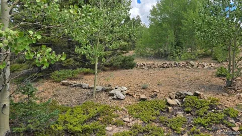 Lot 6804 Ryland Road
