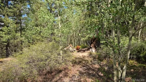 Lot 6804 Ryland Road