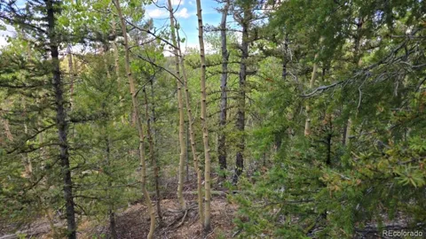 Lot 6803 Ryland Road