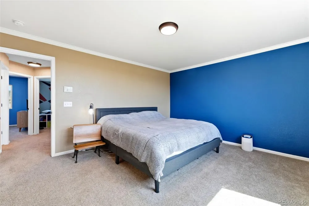 7105 Amber Ridge Drive Colorado Springs, CO 80922