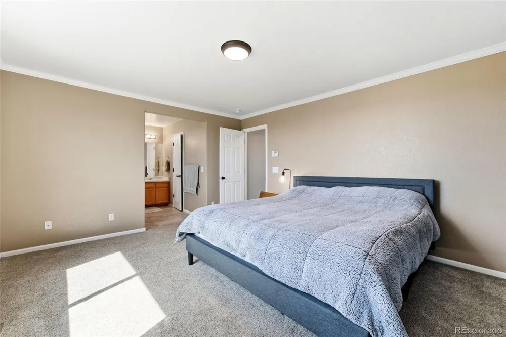 7105 Amber Ridge Drive Colorado Springs, CO 80922