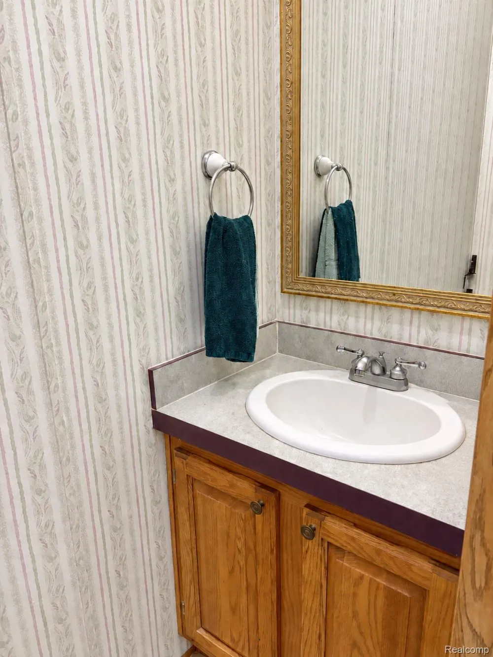 462 Ash Ridge Mason City, MI 48854