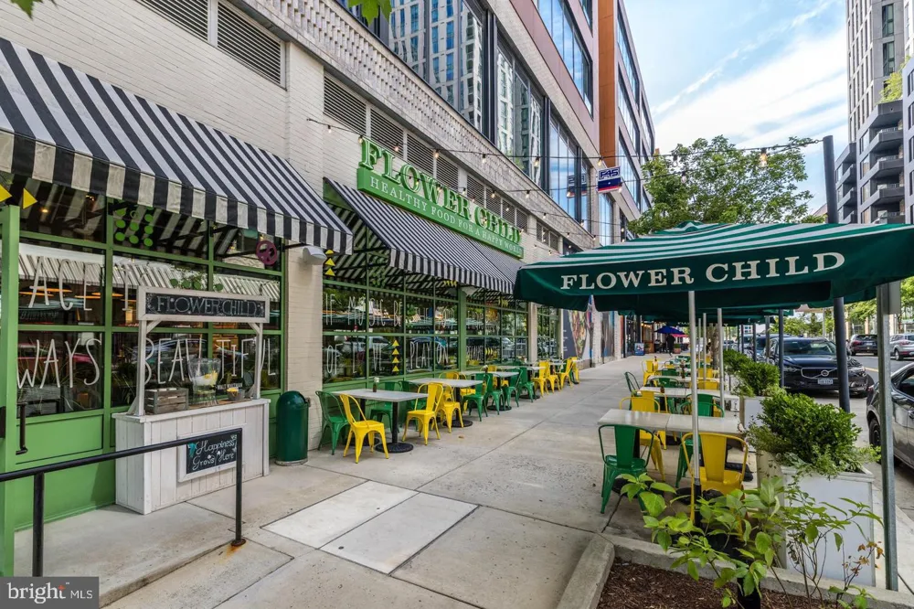 1650 SILVER HILL DRIVE #2309-1 Mclean, VA 22102