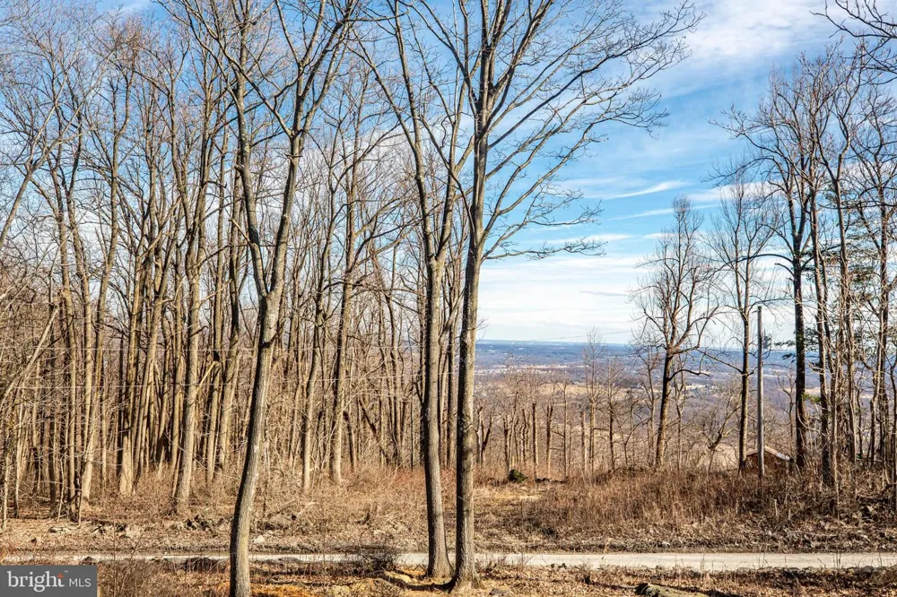 17345 RAVEN ROCKS ROAD Bluemont, VA 20135