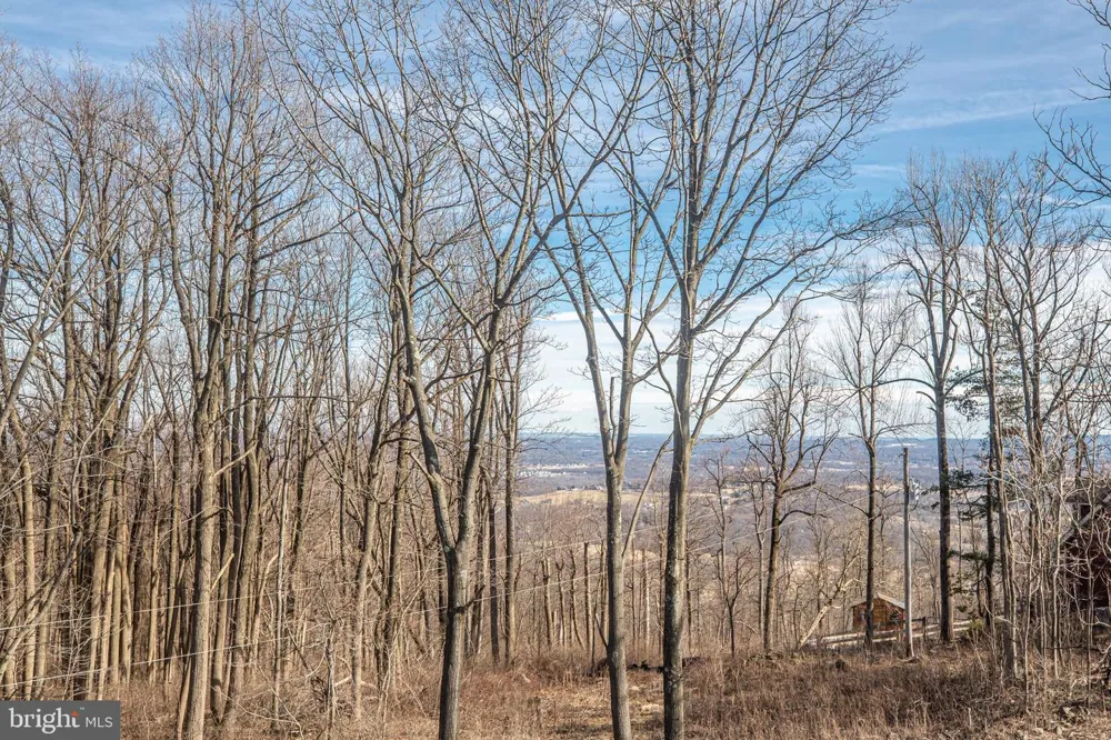 17345 RAVEN ROCKS ROAD Bluemont, VA 20135