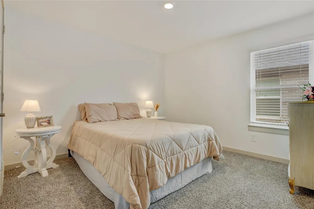 29806 Wildcat Way Katy, TX 77494