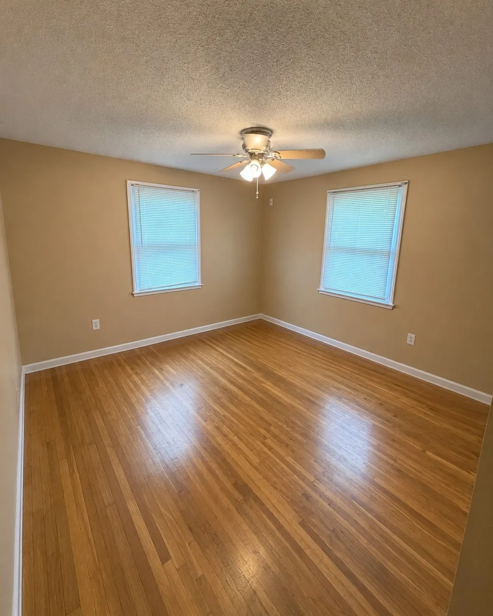 206 Paddock Rd Clarksville, TN 37043