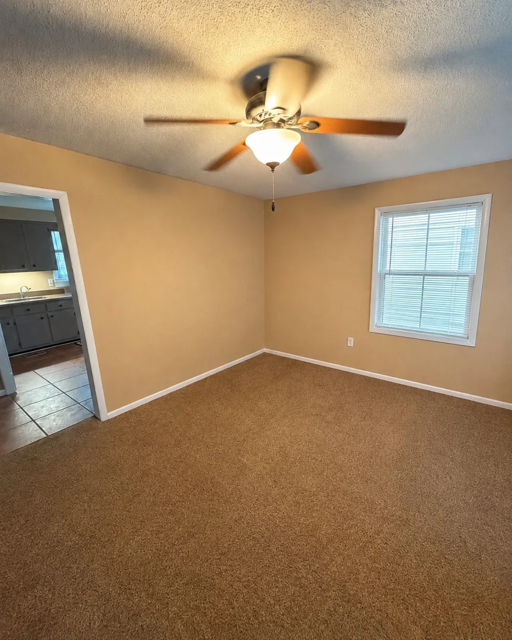 206 Paddock Rd Clarksville, TN 37043