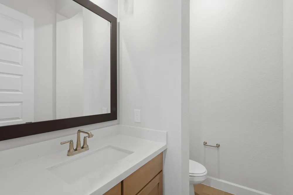 10007 Regal Mist Drive Missouri City, TX 77459