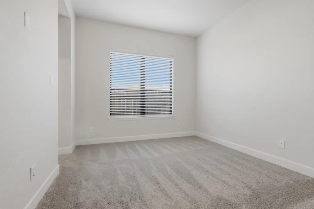 10007 Regal Mist Drive Missouri City, TX 77459