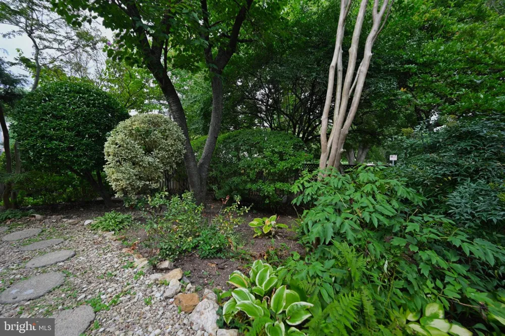 5308 ALTA VISTA ROAD Bethesda, MD 20814