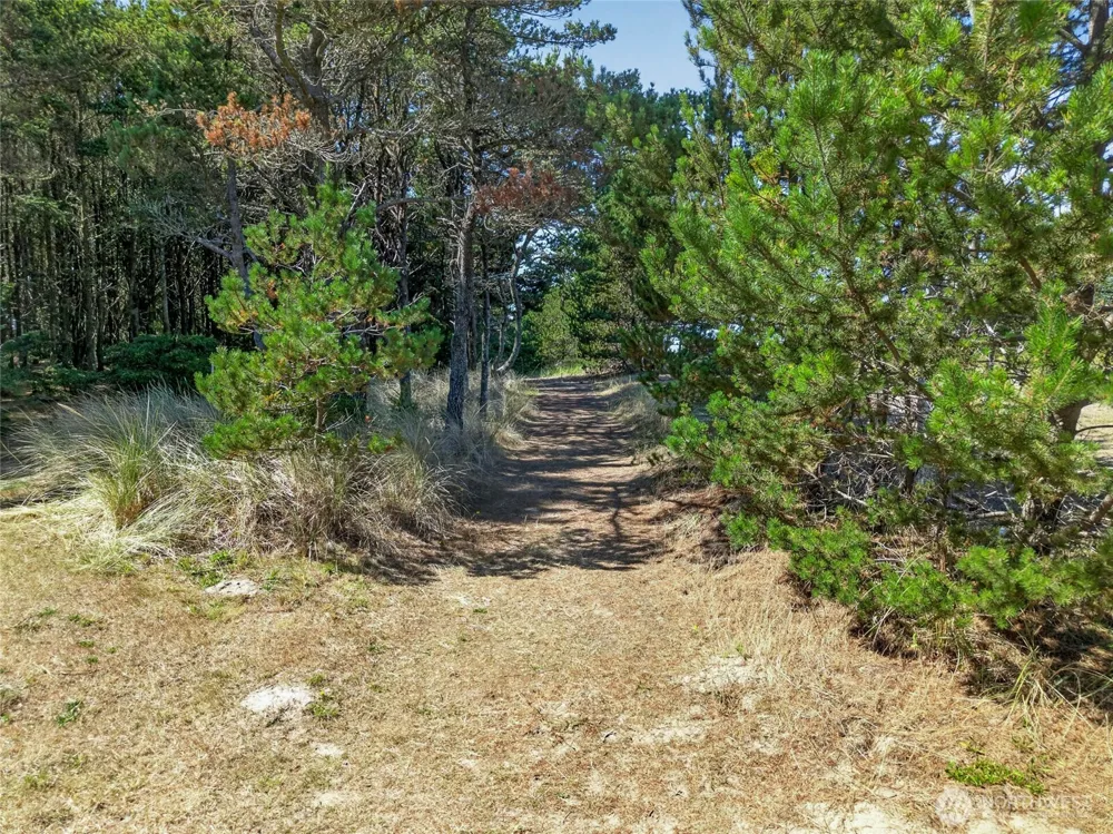 1208 228th Lane Ocean Park, WA 98640