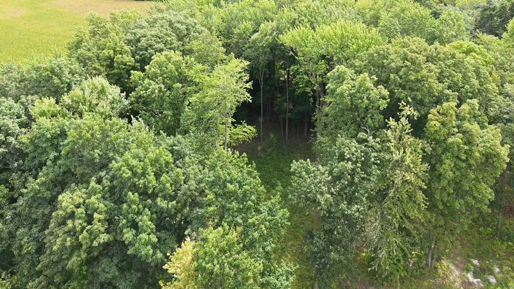 565 W Wildwood Drive Owosso Charter Township, MI 48867